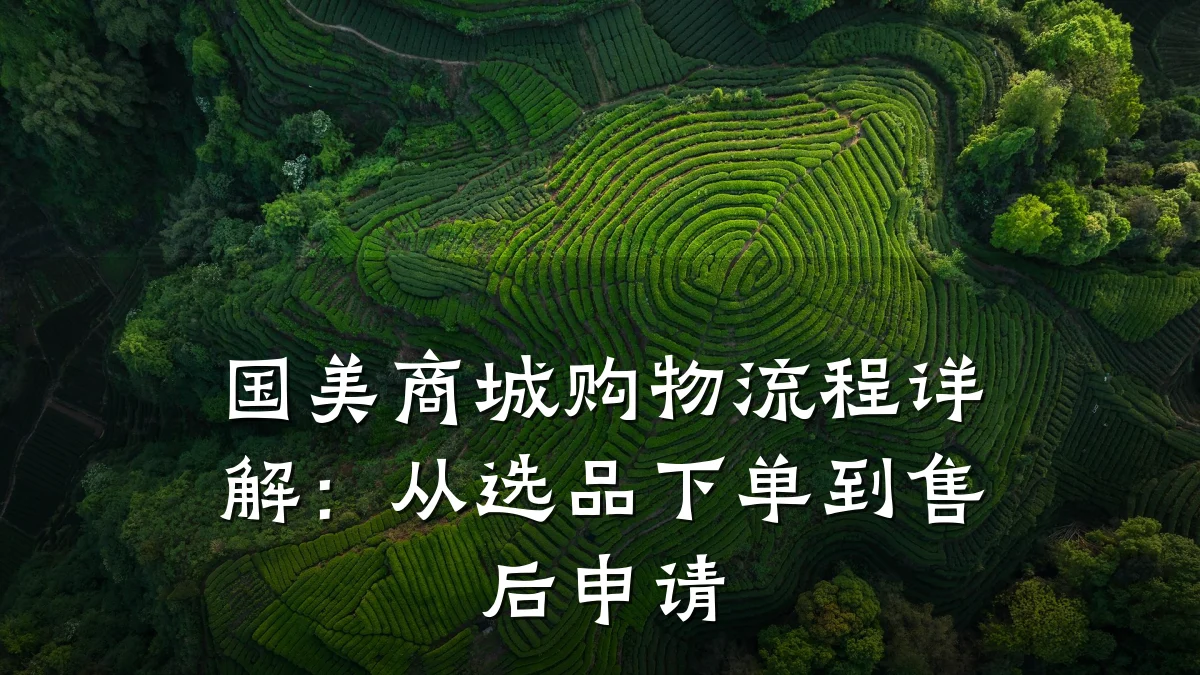 国美商城购物流程详解：从选品下单到售后申请