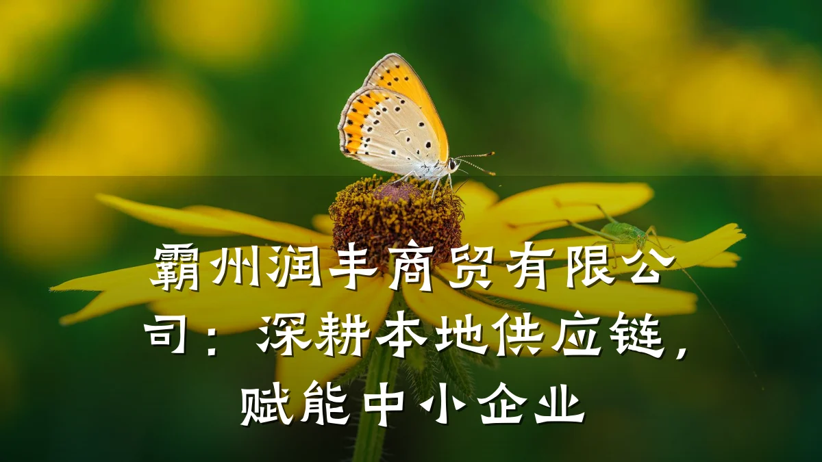 霸州润丰商贸有限公司：深耕本地供应链，赋能中小企业