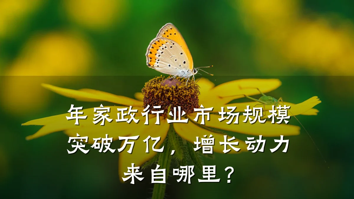 年家政行业市场规模突破万亿,增长动力来自哪里?