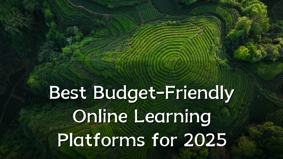 Best Budget-Friendly Online Learning Platforms for 2025