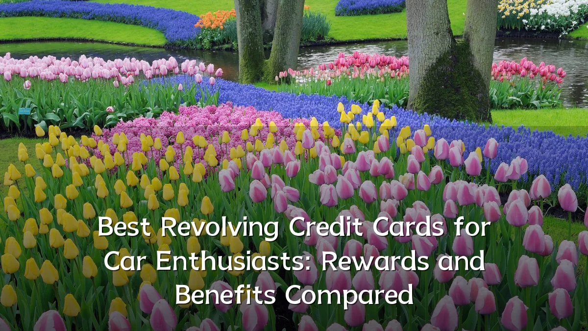 Best Revolving Credit Cards for Car Enthusiasts: Rewards and Benefits Compared