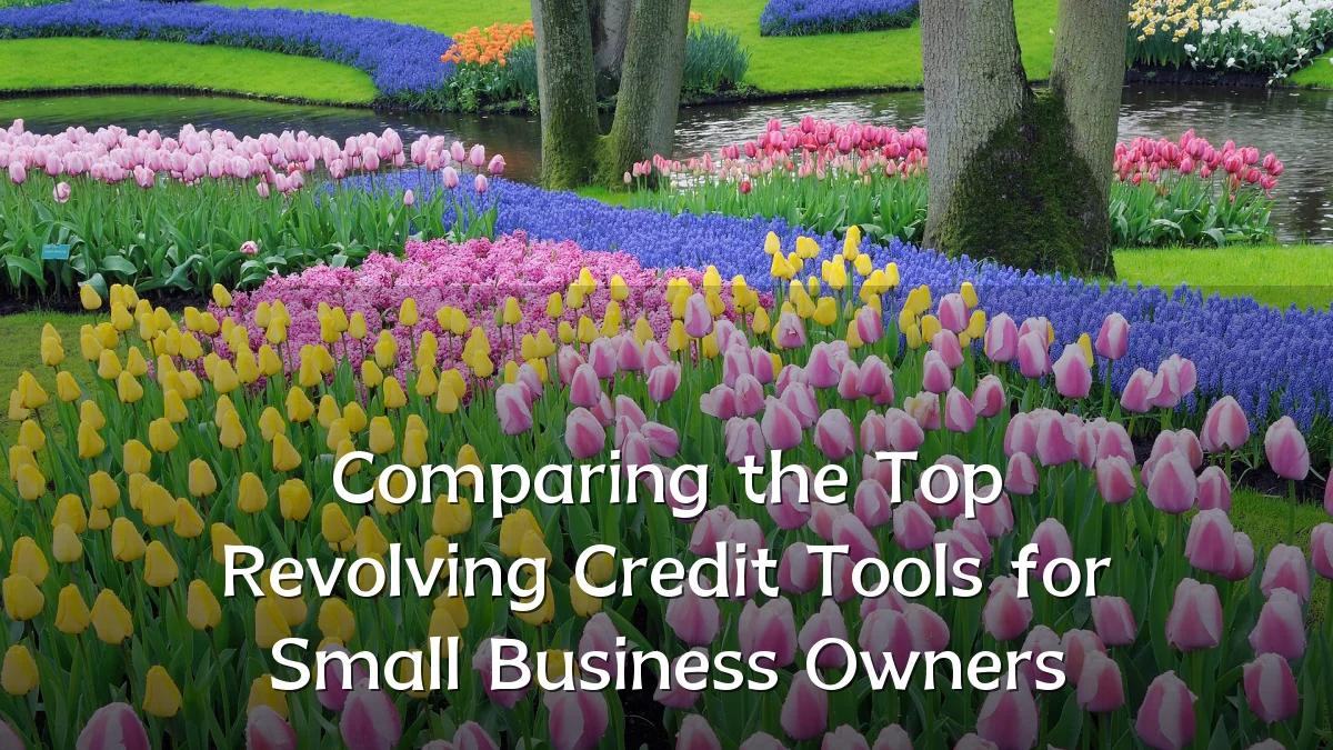 Comparing the Top Revolving Credit Tools for Small Business Owners