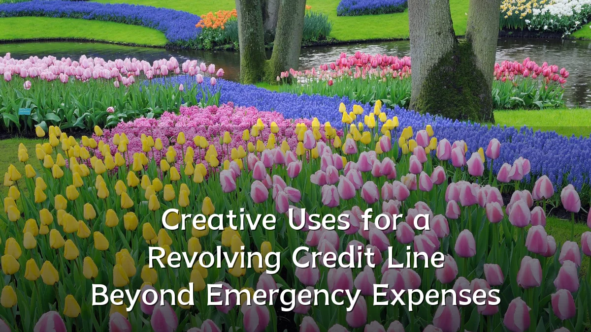 Creative Uses for a Revolving Credit Line Beyond Emergency Expenses