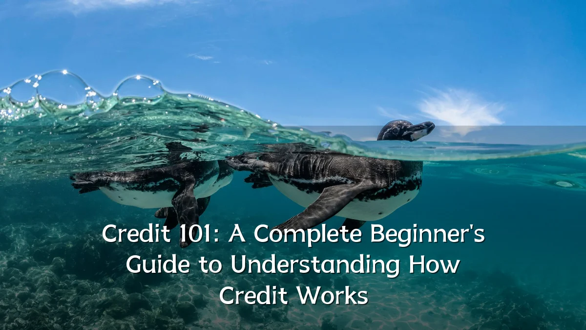 Credit 101: A Complete Beginner's Guide to Understanding How Credit Works