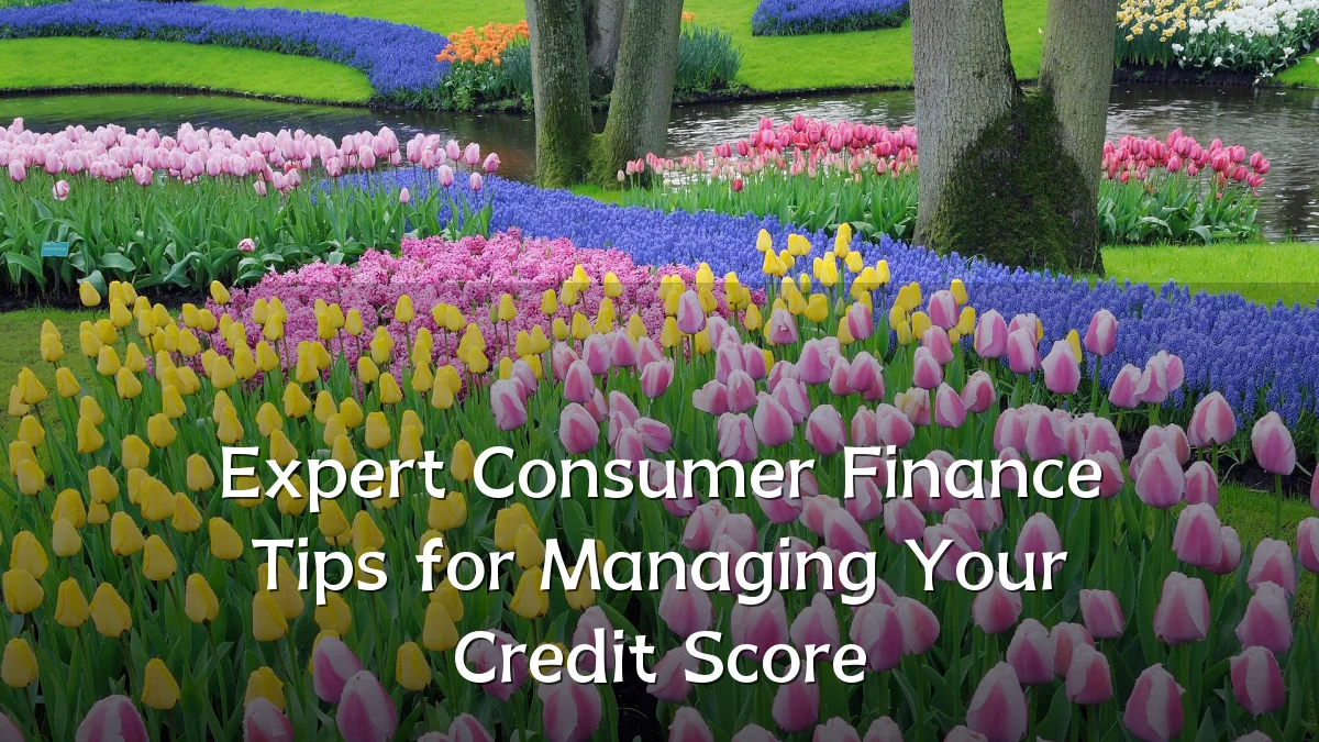 Expert Consumer Finance Tips for Managing Your Credit Score