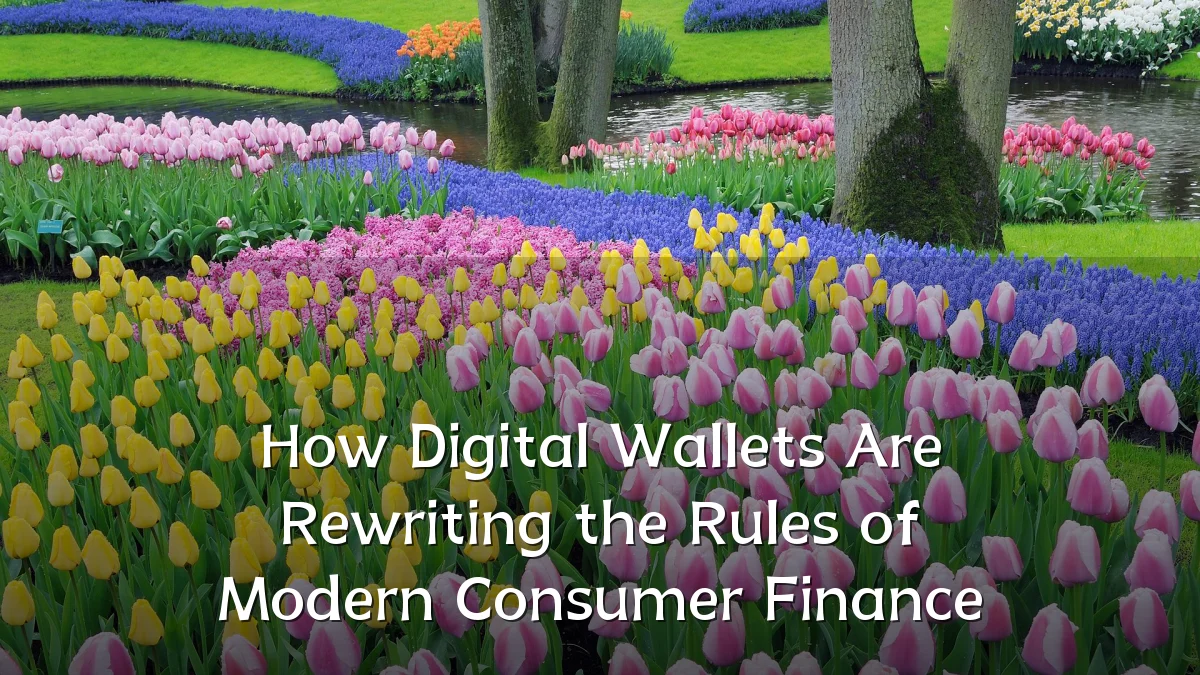 How Digital Wallets Are Rewriting the Rules of Modern Consumer Finance
