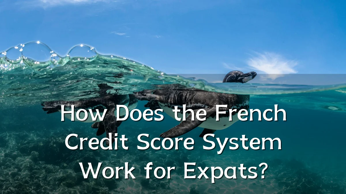 How Does the French Credit Score System Work for Expats?