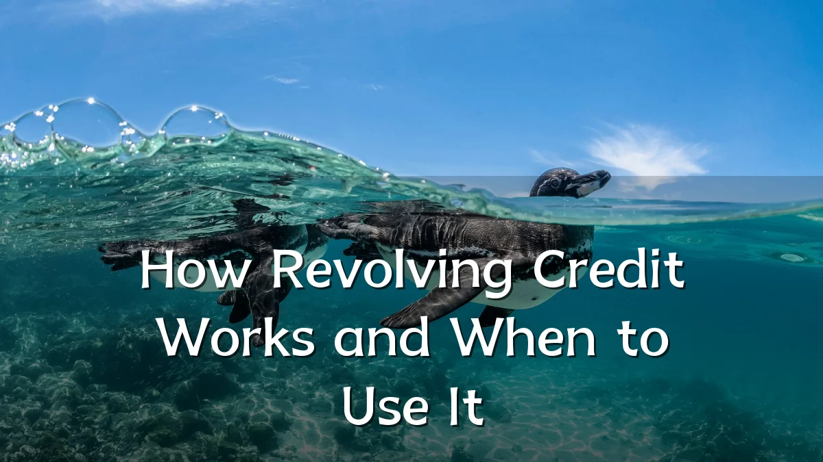How Revolving Credit Works and When to Use It
