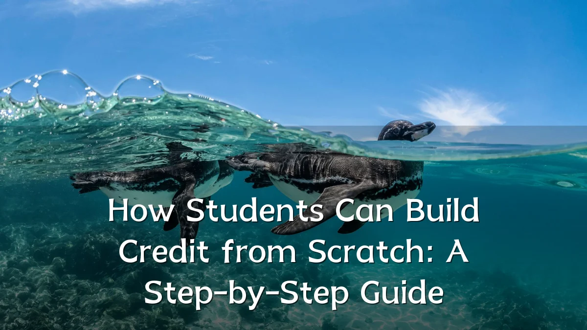 How Students Can Build Credit from Scratch: A Step-by-Step Guide