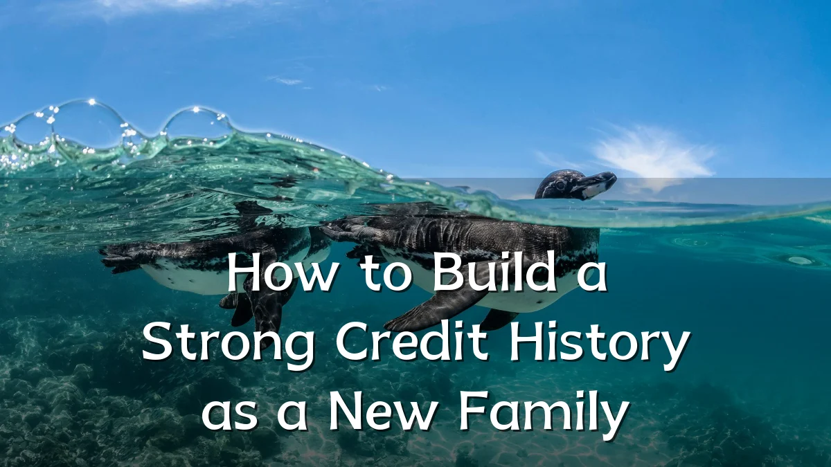 How to Build a Strong Credit History as a New Family