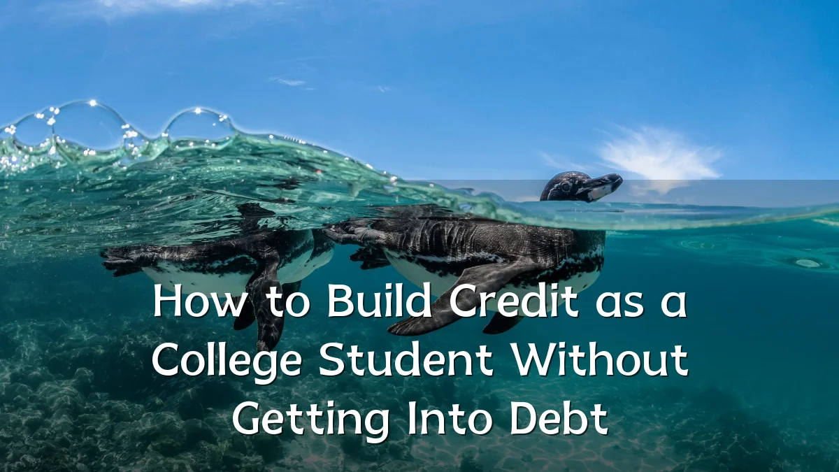 How to Build Credit as a College Student Without Getting Into Debt