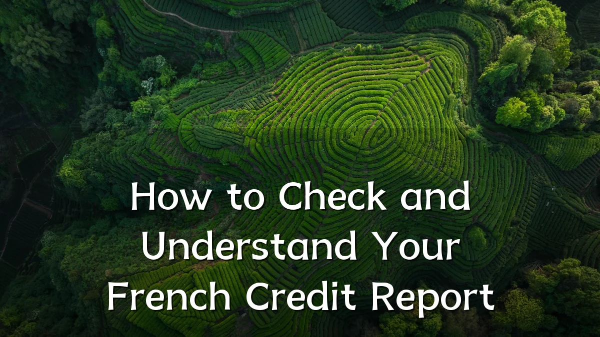 How to Check and Understand Your French Credit Report