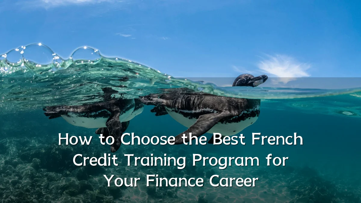How to Choose the Best French Credit Training Program for Your Finance Career