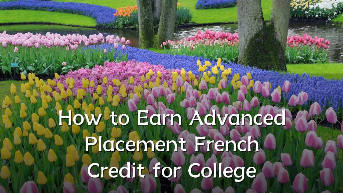 How to Earn Advanced Placement French Credit for College