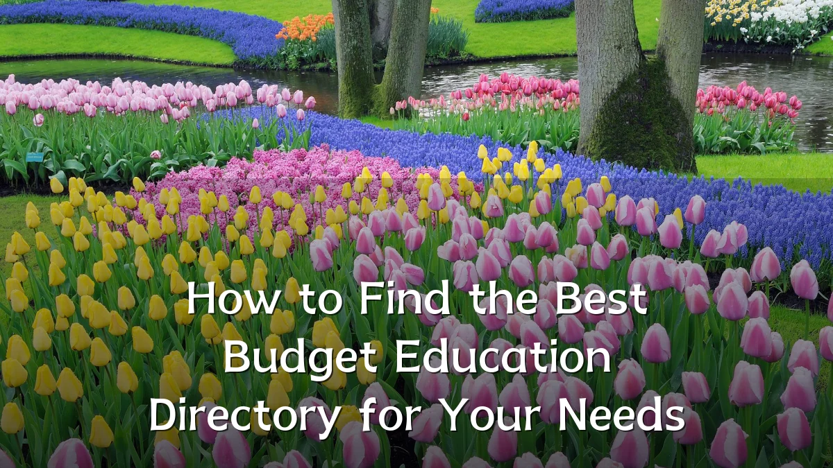How to Find the Best Budget Education Directory for Your Needs
