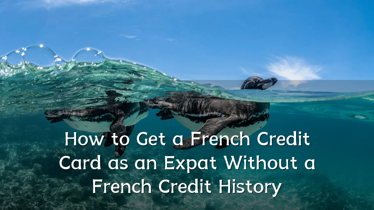 How to Get a French Credit Card as an Expat Without a French Credit History