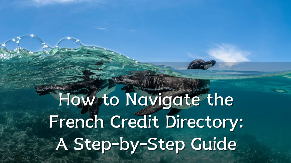 How to Navigate the French Credit Directory: A Step-by-Step Guide