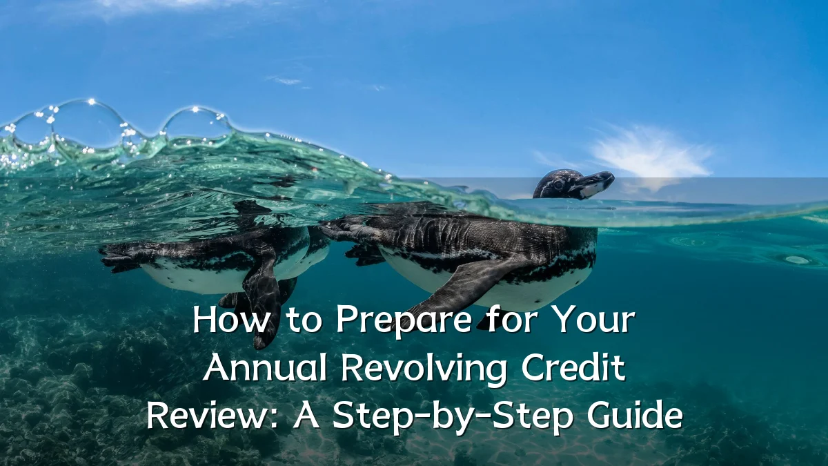 How to Prepare for Your Annual Revolving Credit Review: A Step-by-Step Guide