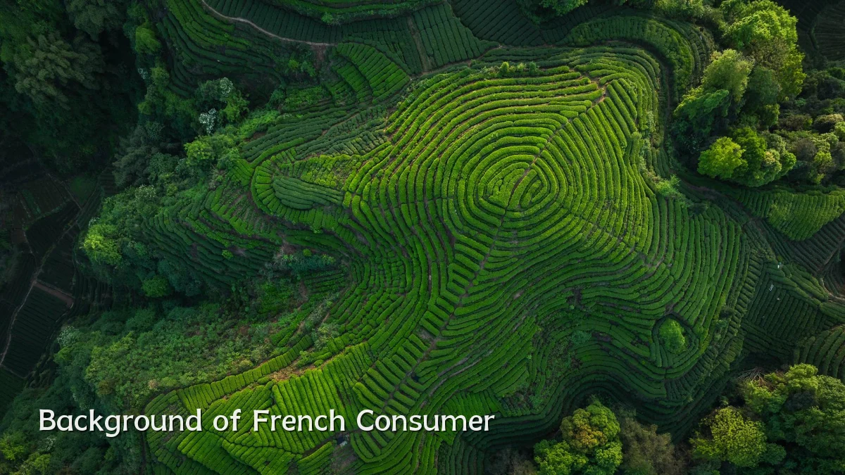 Background of French Consumer