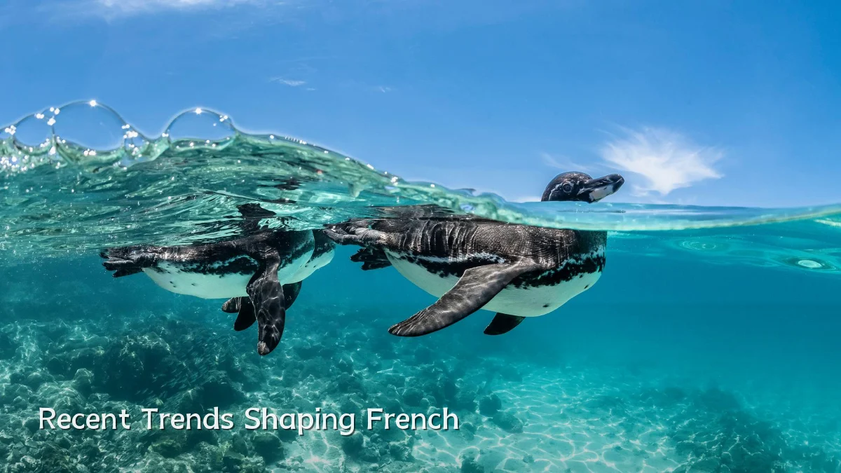 Recent Trends Shaping French