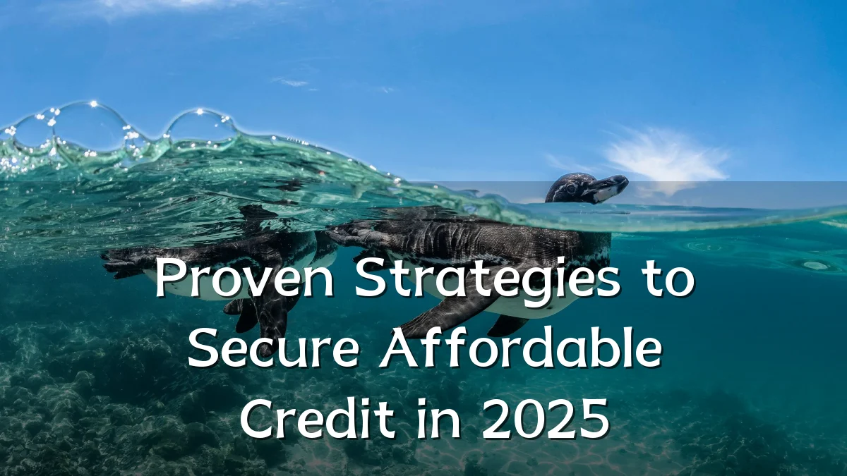 Proven Strategies to Secure Affordable Credit in 2025