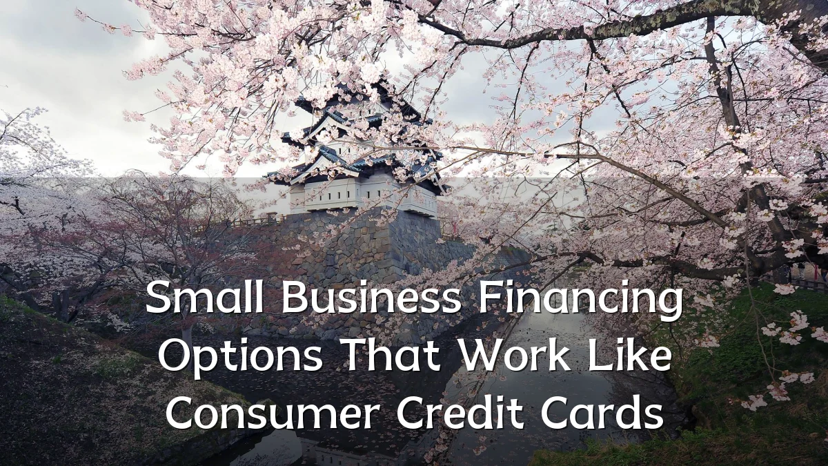 Small Business Financing Options That Work Like Consumer Credit Cards