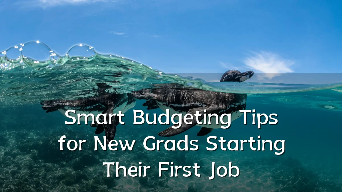 Smart Budgeting Tips for New Grads Starting Their First Job