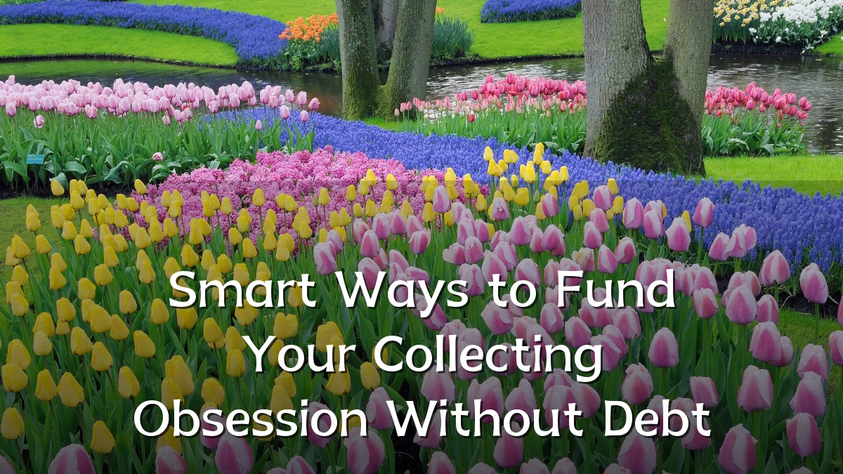 Smart Ways to Fund Your Collecting Obsession Without Debt