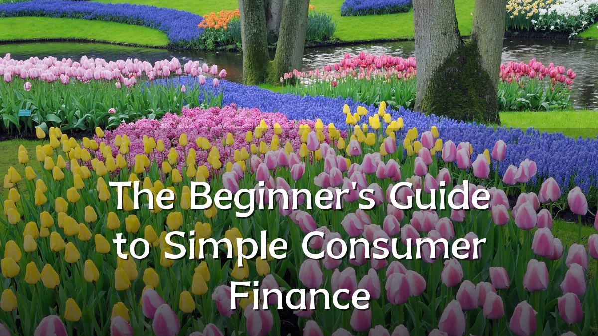 The Beginner's Guide to Simple Consumer Finance