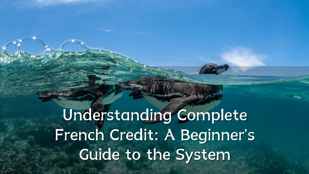 Understanding Complete French Credit: A Beginner's Guide to the System
