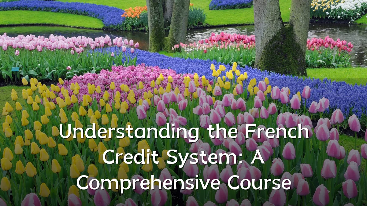 Understanding the French Credit System: A Comprehensive Course