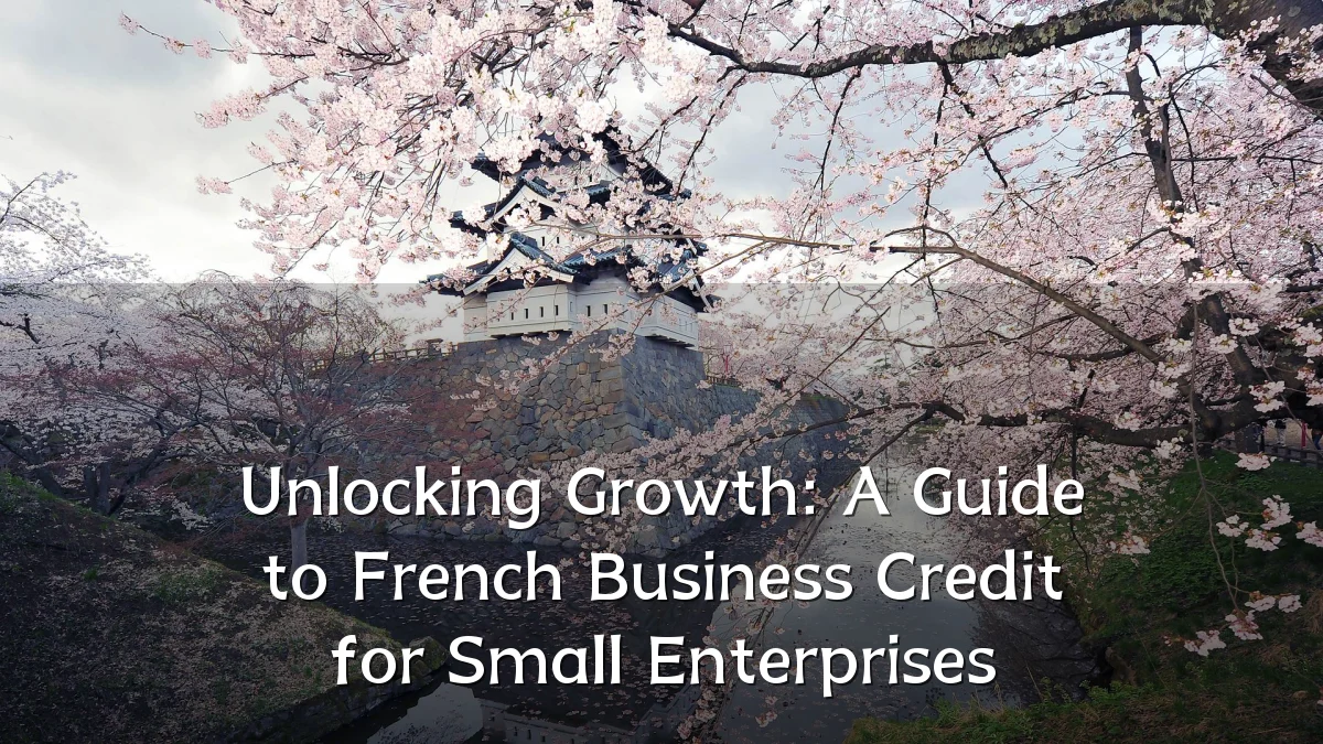 Unlocking Growth: A Guide to French Business Credit for Small Enterprises
