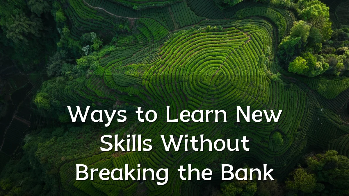 Ways to Learn New Skills Without Breaking the Bank
