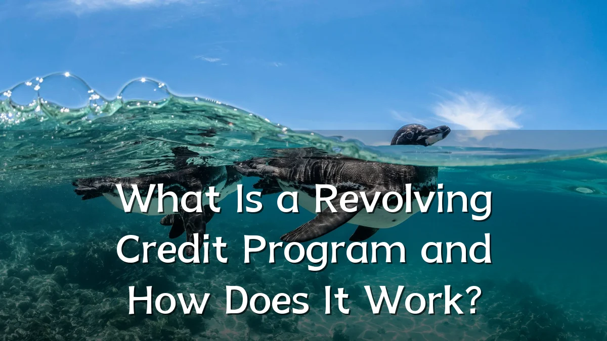 What Is a Revolving Credit Program and How Does It Work?