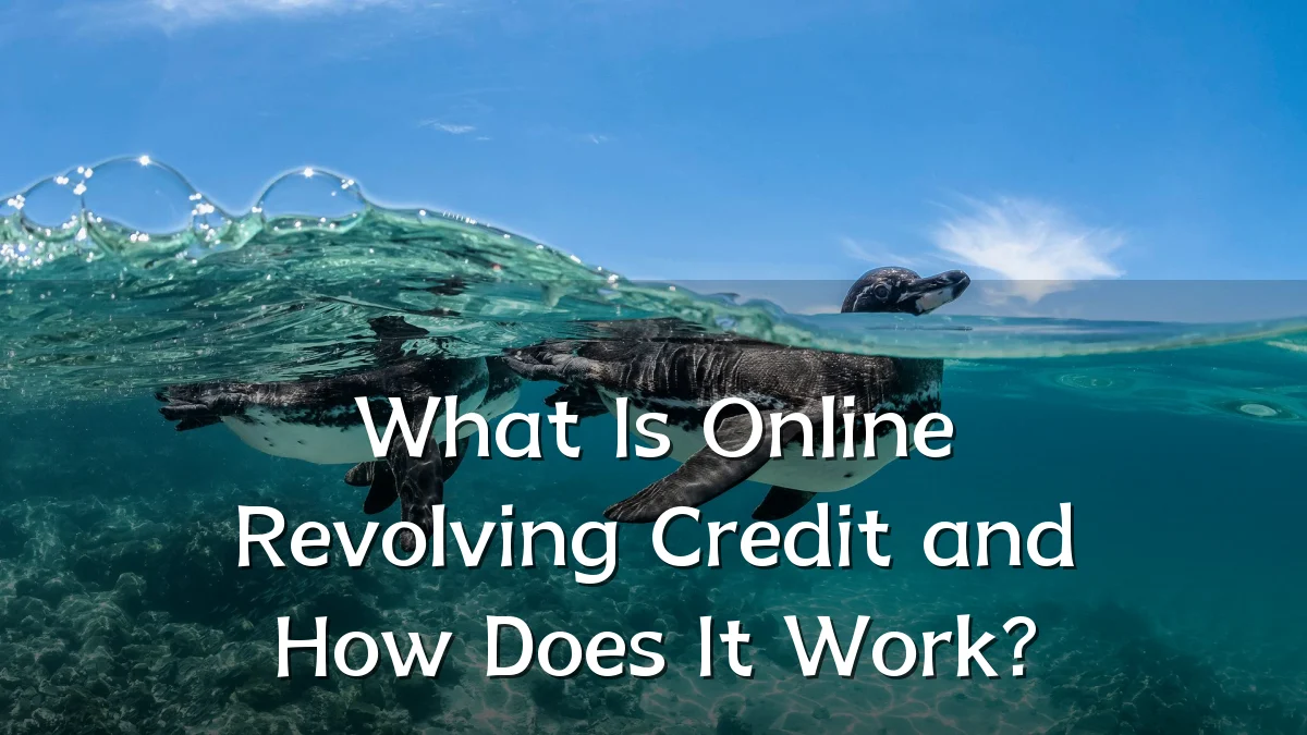 What Is Online Revolving Credit and How Does It Work?