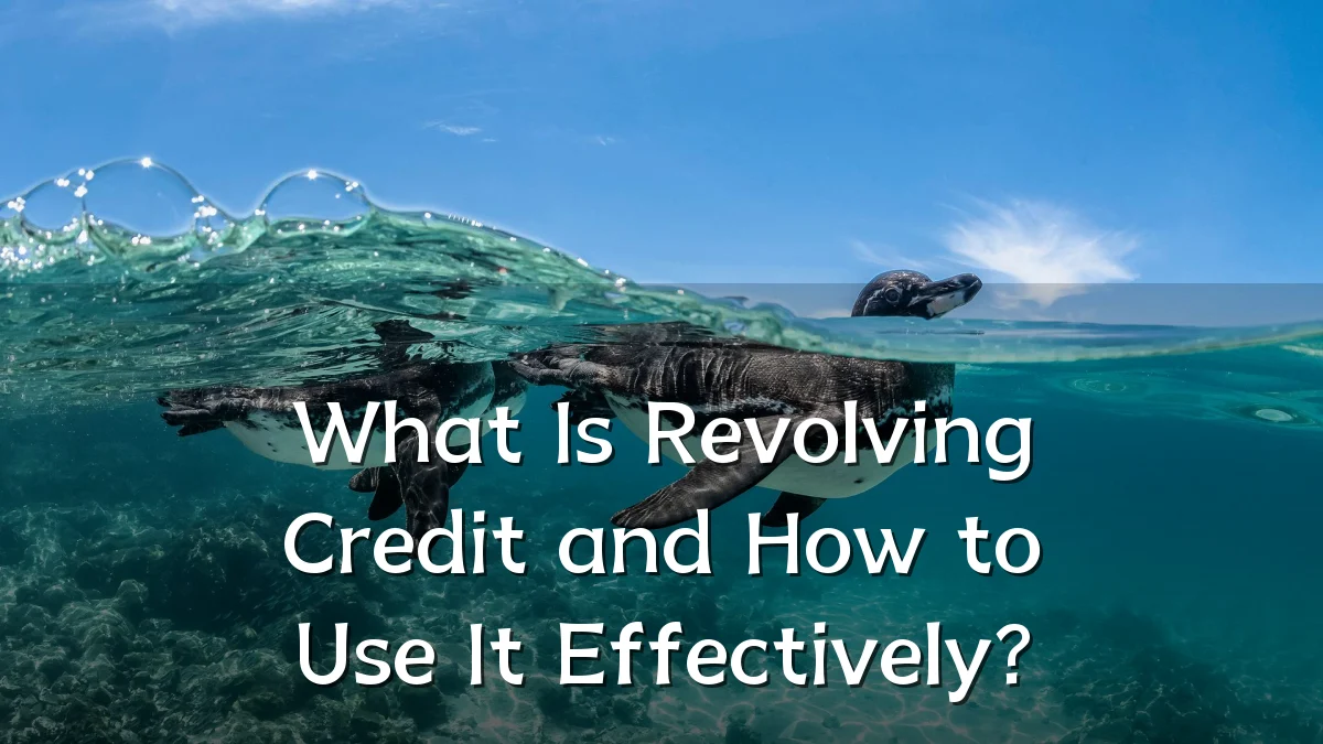 What Is Revolving Credit and How to Use It Effectively?