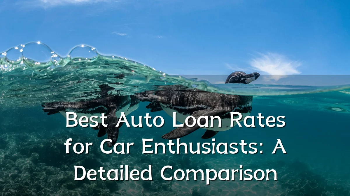 Best Auto Loan Rates for Car Enthusiasts: A Detailed Comparison