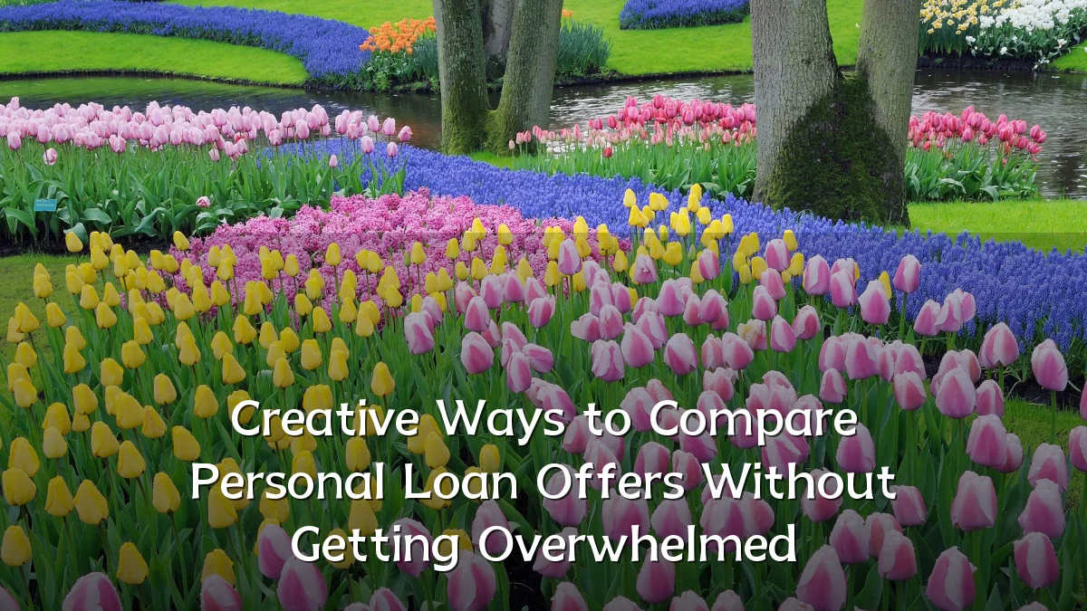 Creative Ways to Compare Personal Loan Offers Without Getting Overwhelmed