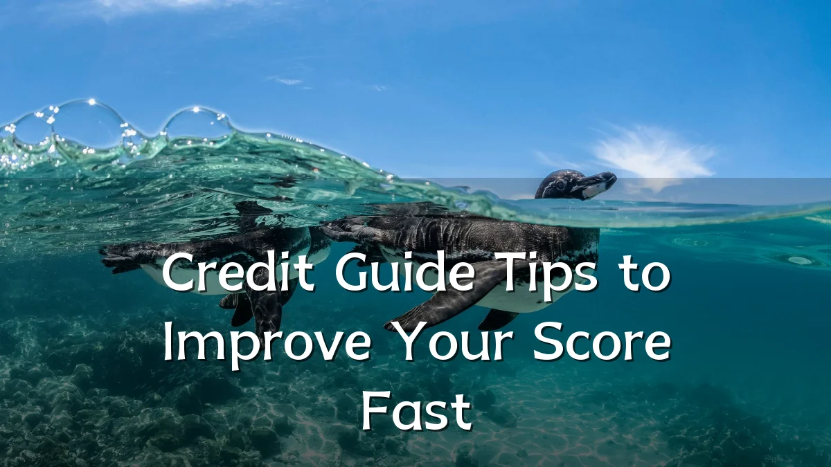 Credit Guide Tips to Improve Your Score Fast