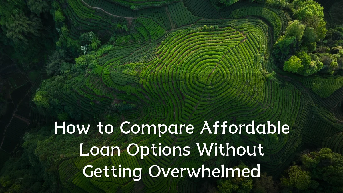 How to Compare Affordable Loan Options Without Getting Overwhelmed