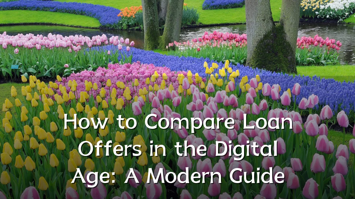 How to Compare Loan Offers in the Digital Age: A Modern Guide