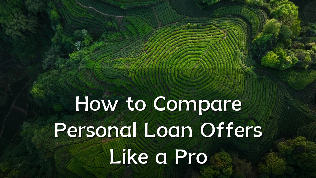 How to Compare Personal Loan Offers Like a Pro