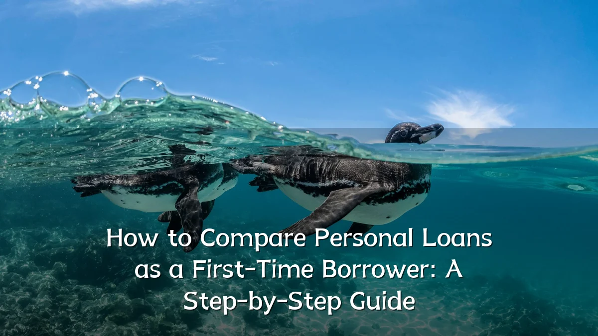 How to Compare Personal Loans as a First-Time Borrower: A Step-by-Step Guide
