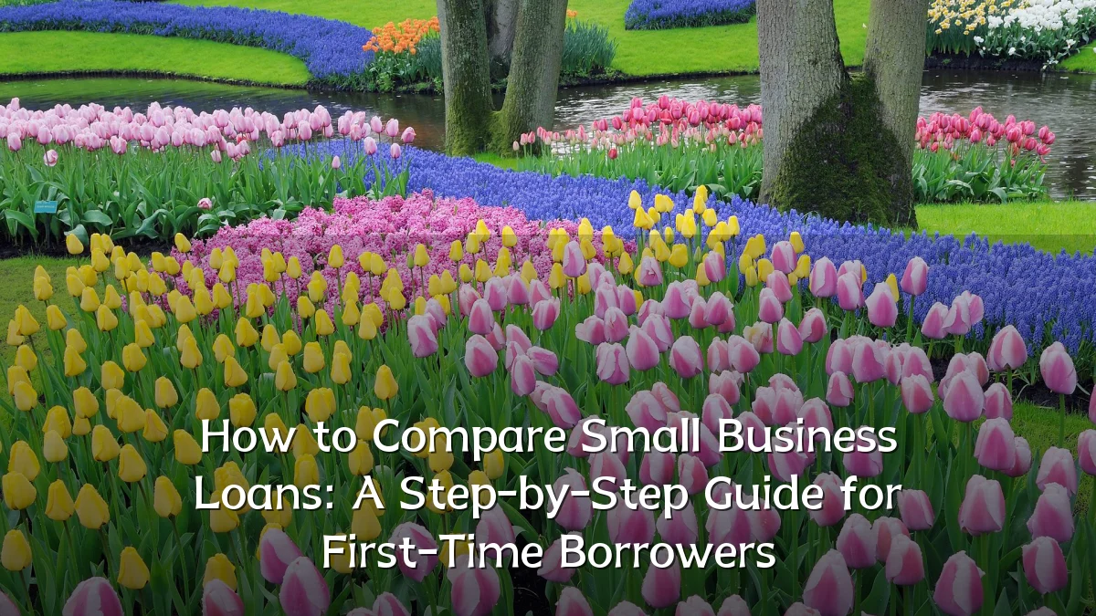 How to Compare Small Business Loans: A Step-by-Step Guide for First-Time Borrowers