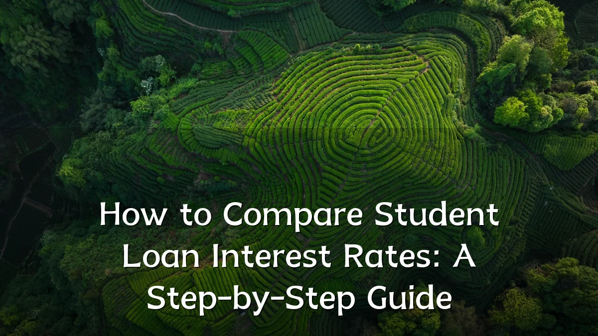 How to Compare Student Loan Interest Rates: A Step-by-Step Guide