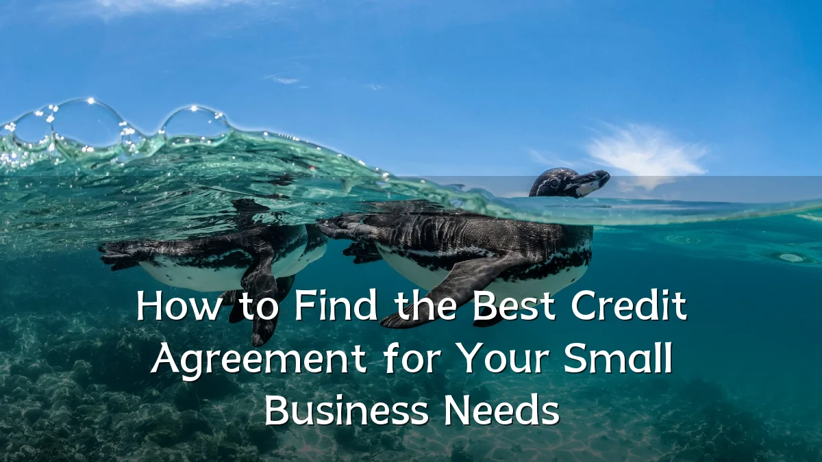 How to Find the Best Credit Agreement for Your Small Business Needs