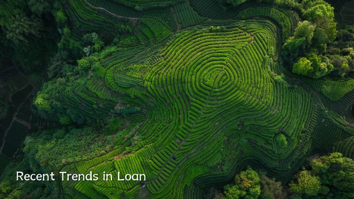 Recent Trends in Loan