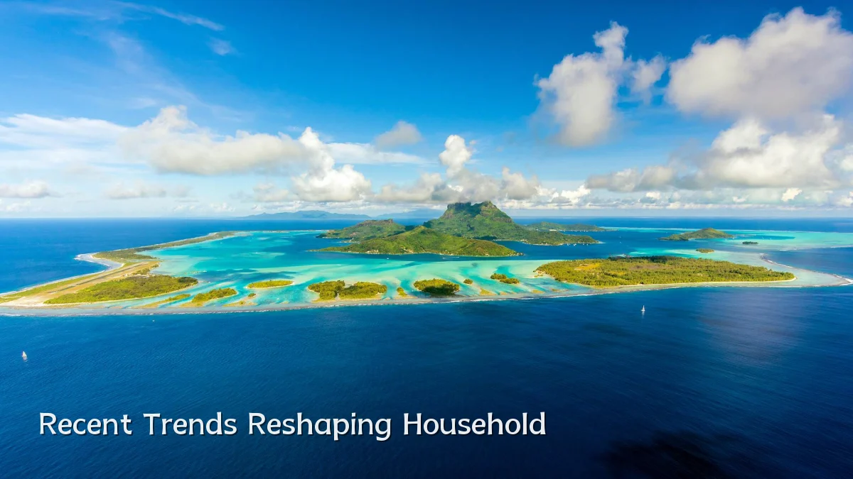 Recent Trends Reshaping Household