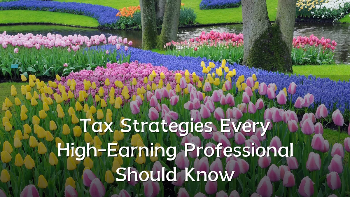 Tax Strategies Every High-Earning Professional Should Know