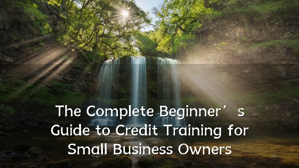 The Complete Beginner’s Guide to Credit Training for Small Business Owners